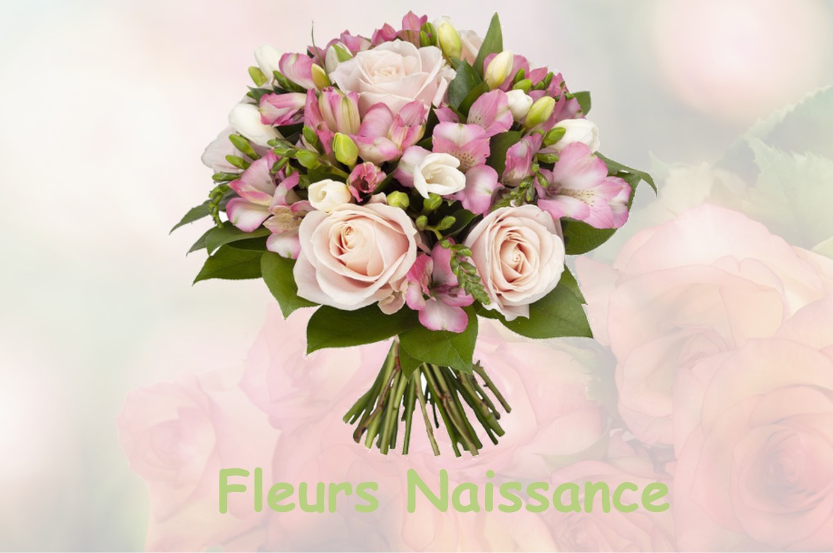 fleurs naissance FAUCON-DE-BARCELONNETTE